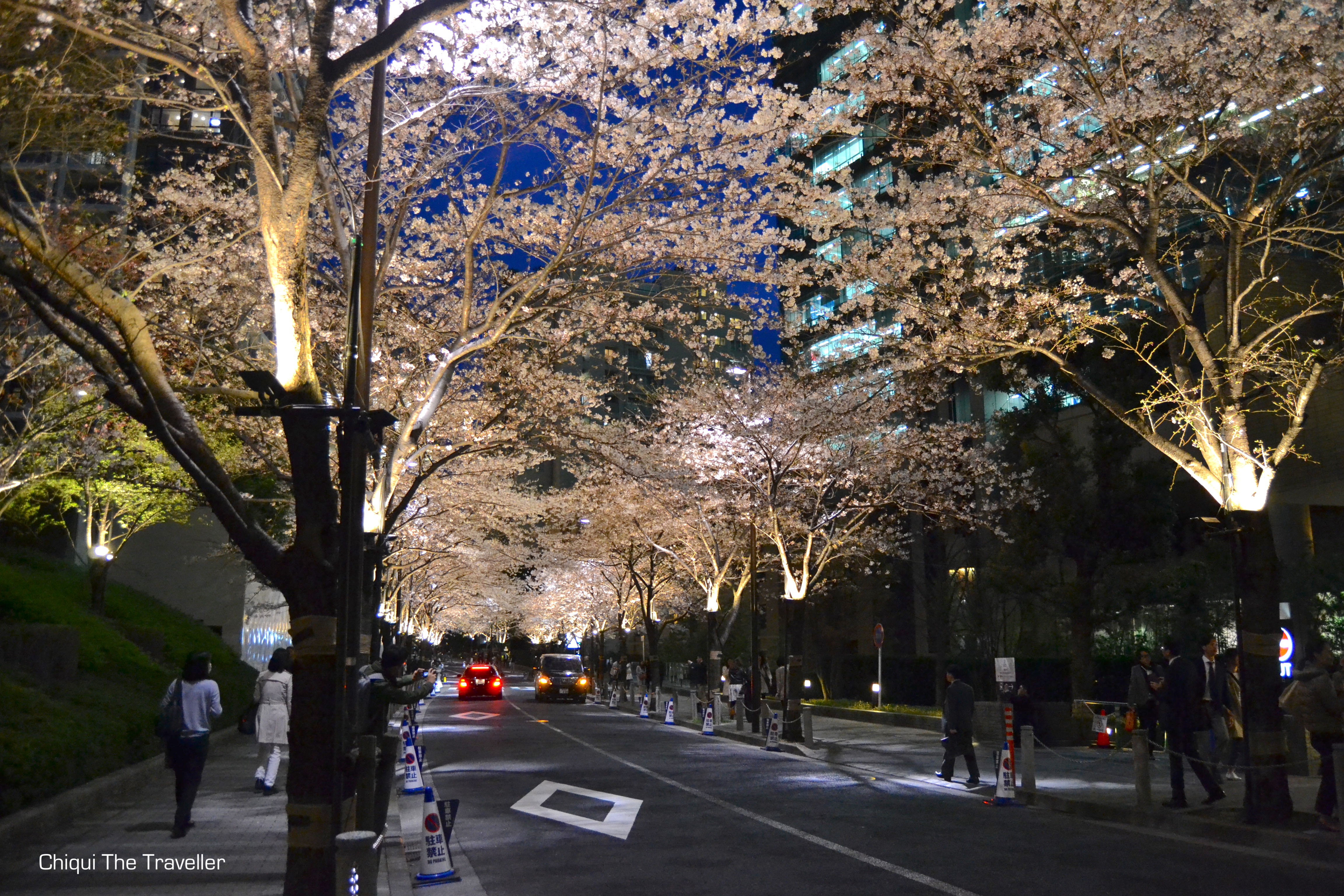 Roppongi Itchome Sakura de noche Tokio